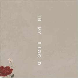 Shawn Mendes In My Blood