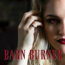 brooklyn roebuck barn burner